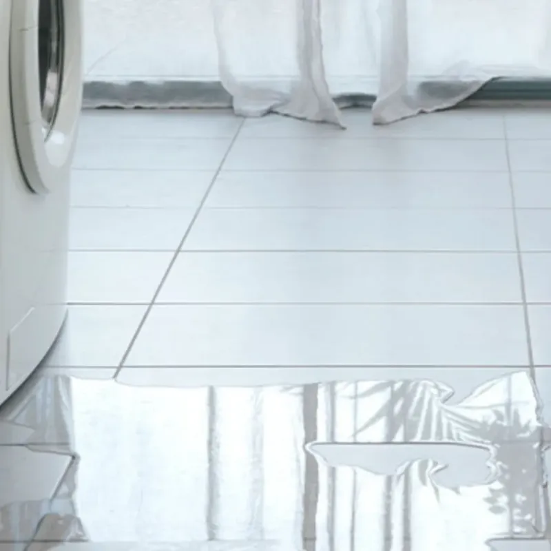 Appliance Leak Cleanup in Moses Lake, WA