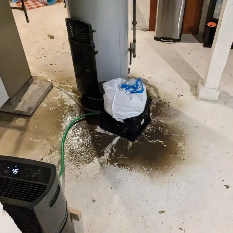 Sewage Backup Cleanup Service in Moses Lake, WA